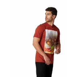 Fox Racing DILINEATION SS PREMIUM TEE -Fox Racing FO297873692X 1